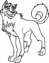 Balto Coloring Real Big Wolf Wecoloringpage sketch template