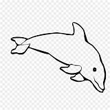 Dolphin Lumba Spinner Bottlenose Dolphins Mewarnai Webstockreview Hiclipart sketch template