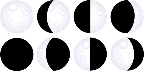moon phases chart  clip art
