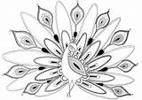 Peacock Drawing Sketch Coloring Pages Getdrawings sketch template