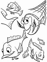 Nemo Coloring Finding Pages Kids Dory Friends Crush Medium Sheets Dari Disimpan sketch template