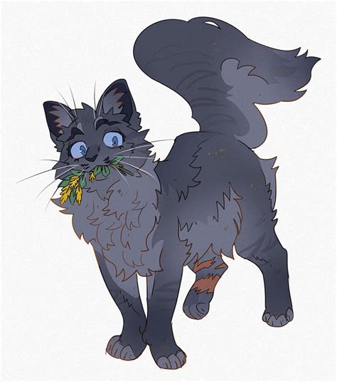 cinderpelt by murkbone on deviantart