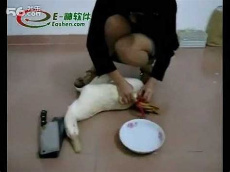 china girl kill chiken vidoemo emotional video unity