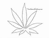 Leaf Pot Coloring Pages Tree Palm Getdrawings Printable Drawing Colouring Getcolorings sketch template