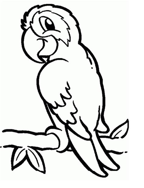 parrot coloring sheets printable coloring pages