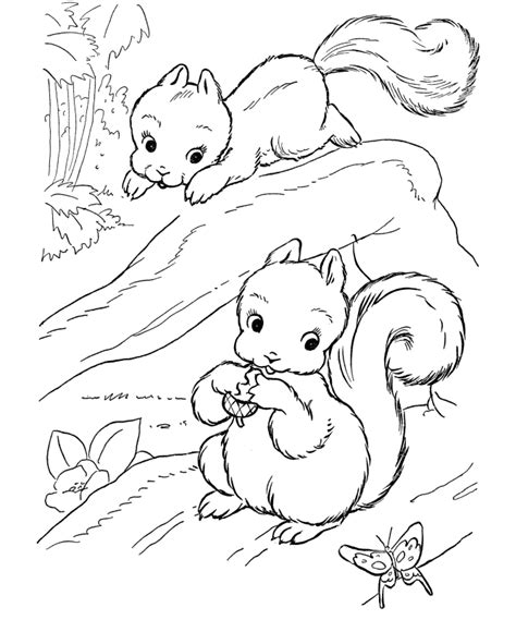 gambar coloring pages wild animal realistic cute animals colouring