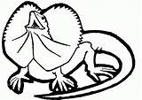 Reptiles Reptile Hagedissen Kleurplaten Dragon Lizards Uitprinten Downloaden sketch template