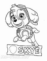 Coloring Skye Patrol Paw Pages Book sketch template