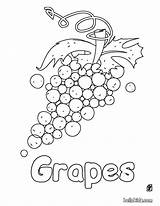Grapes Hellokids Trauben Colorear Malvorlage Uvas Weintrauben Grape Farben Enregistrée sketch template
