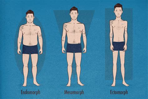 What S Your Body Type Ectomorph Mesomorph And Endomorph