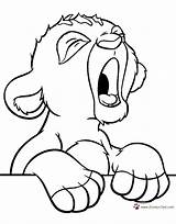 Simba Lion King Coloring Pages Disney Baby Book Yawning Drawing Printable Disneyclips Pdf Getdrawings Funstuff sketch template