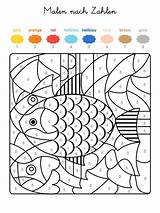 Zahlen Rechnen Ausmalen Fische Ausmalbild sketch template