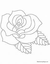 Coloring Rose Pages Drawing Flower Artificial Roses Gladiolus Printable Colouring Easy Bestcoloringpages Adult Petals Drawings Keyword Color Getdrawings Tattoo Book sketch template