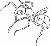 Ant Ants Marching Formigas Formiga Bestcoloringpagesforkids Realista sketch template