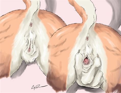 rule 34 anthro anus bent over brown fur charr claws close up