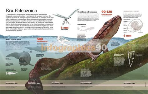 infografia era paleozoica infographics