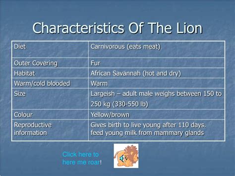 classification   lion powerpoint