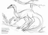 Dinosaur Coelophysis Zoom Sheets Coloring sketch template