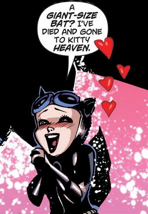609 Best Images About Catwoman On Pinterest Dc Comics