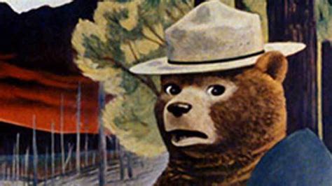 celebrate earth day     smokey bear    fun facts popiconlife