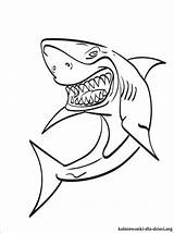 Kolorowanki Rekin Kolorowanka Wydrukowania Shark Zapisano sketch template