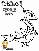 Pokemon Coloring Pages Snivy Tepig Servine sketch template