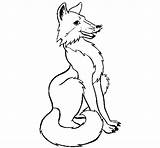 Fox Coloring Red Coloringcrew sketch template