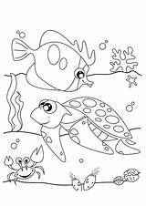 Urchin Sea Coloring Getcolorings Printable Pages sketch template
