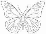 Butterfly Outline Draw Drawing Coloring Printable Google Template Pattern sketch template