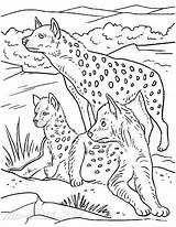 Hyenas Three sketch template