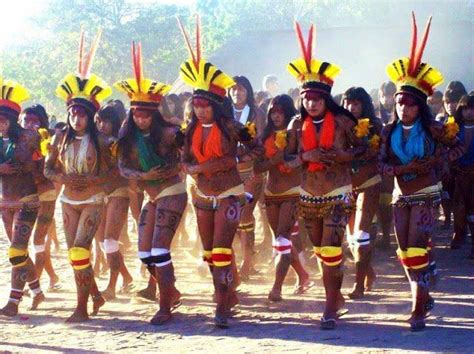 indios brasileiros indio amazonia tribos africanas