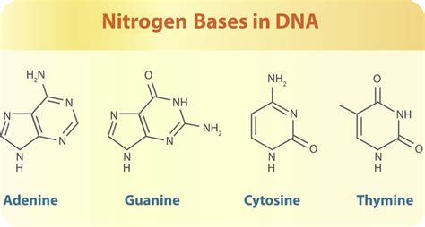 dna science pal