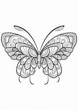 Butterfly Coloring Book Adult Pages sketch template