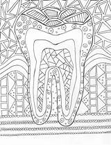 Dental Coloring Hygiene Diente Practice Vision Indirect Dibujo Assistant Pintar Hygienist Humor Hygienists Pages Adult Imagenes Arte Students Favorite Things sketch template