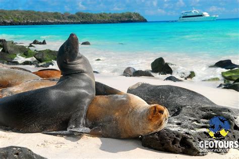 islas galapagos geotours adventure travel  agency  banos