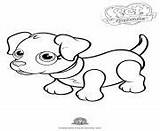 Parade Pet Coloring Pages Dog Cute sketch template