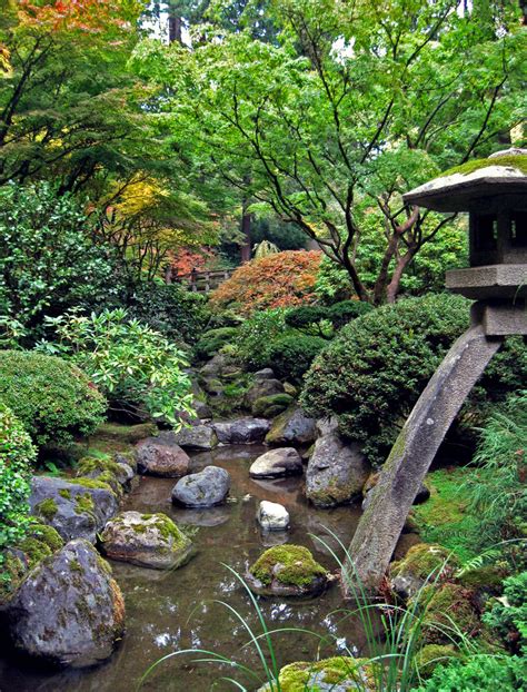 japanese garden   cami rox  deviantart