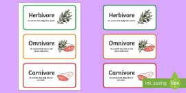 carnivore omnivore  herbivore venn diagram worksheet venn