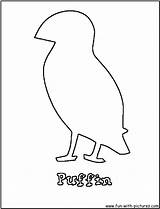 Puffin Coloring Fun Pages sketch template