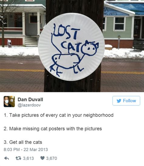 12 hilarious tweets about cats we love cats and kittens