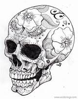 Skull Coloring Dead Realistic Printable Xcolorings 163k Resolution Info Type  Size sketch template