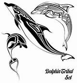 Dolphin Tribal Tattoo Vector Set Tattoos Polynesian Dolphins Stock Marine Hawaiian sketch template
