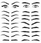 Eyebrows Eyebrow Eyes Man Clipart Vector Draw Sketch Anime Stock Illustration Women Cosmetics Business Drawing Eye Cartoon Dibujo Drawings Different sketch template