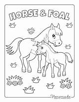 Coloring Horse Pages Baby Foal Kids Cute Mother Cartoon Easy Printable Adults Printables sketch template