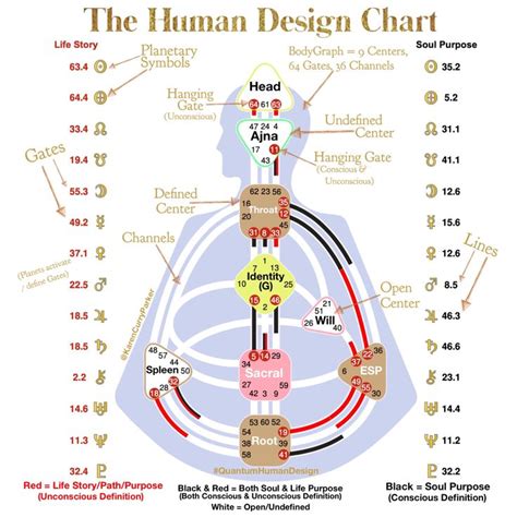 explain  human design chart