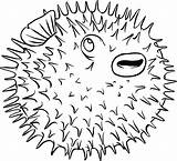 Coloring Pages Fish Spine Puffer Blowfish Porcupine Color Printable Blow Getcolorings Print sketch template