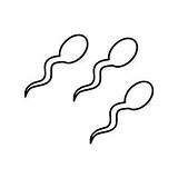 Sperm Sperma Transferred sketch template