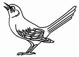 Mockingbird Birds Designlooter sketch template