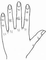 Hand Palm Drawing Getdrawings sketch template