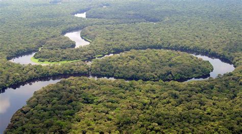 congo threatens  open worlds  largest rainforest  loggers